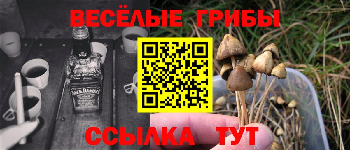Псилоцибиновые грибы GOLDEN TEACHER Печора